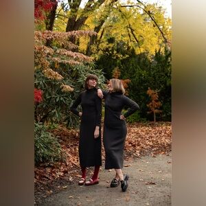 Sezane Hillary Rib Knit High Neckline Midi Dress